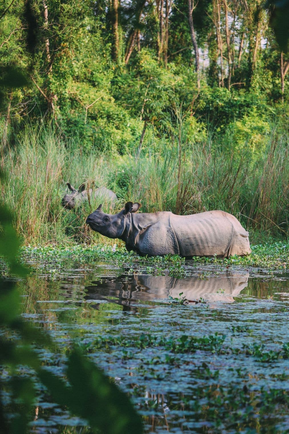 3-Day Chitwan National Park Jungle Safari